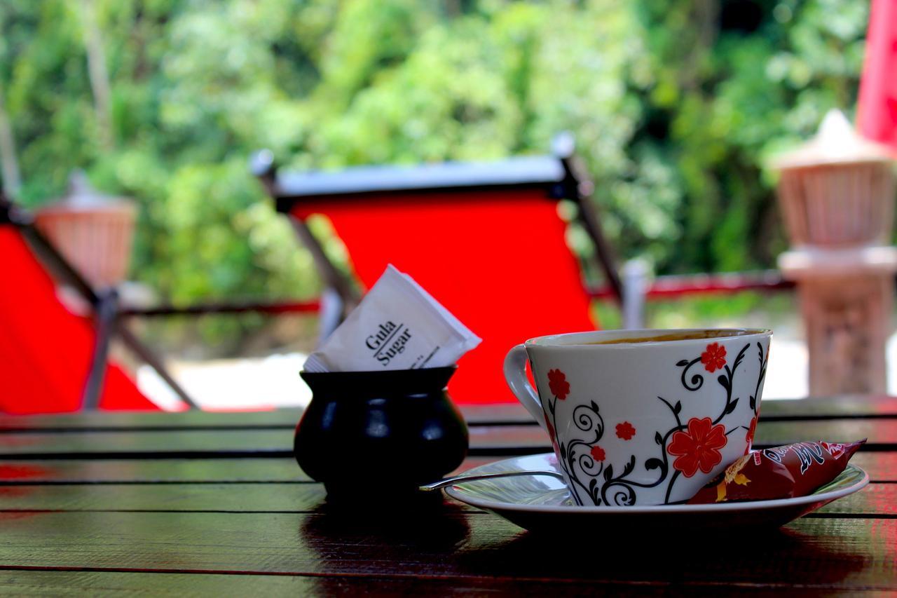 Ecotravel Cottages Bukit Lawang Eksteriør bilde