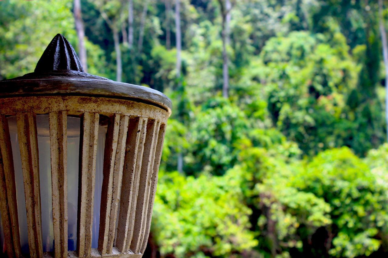 Ecotravel Cottages Bukit Lawang Eksteriør bilde