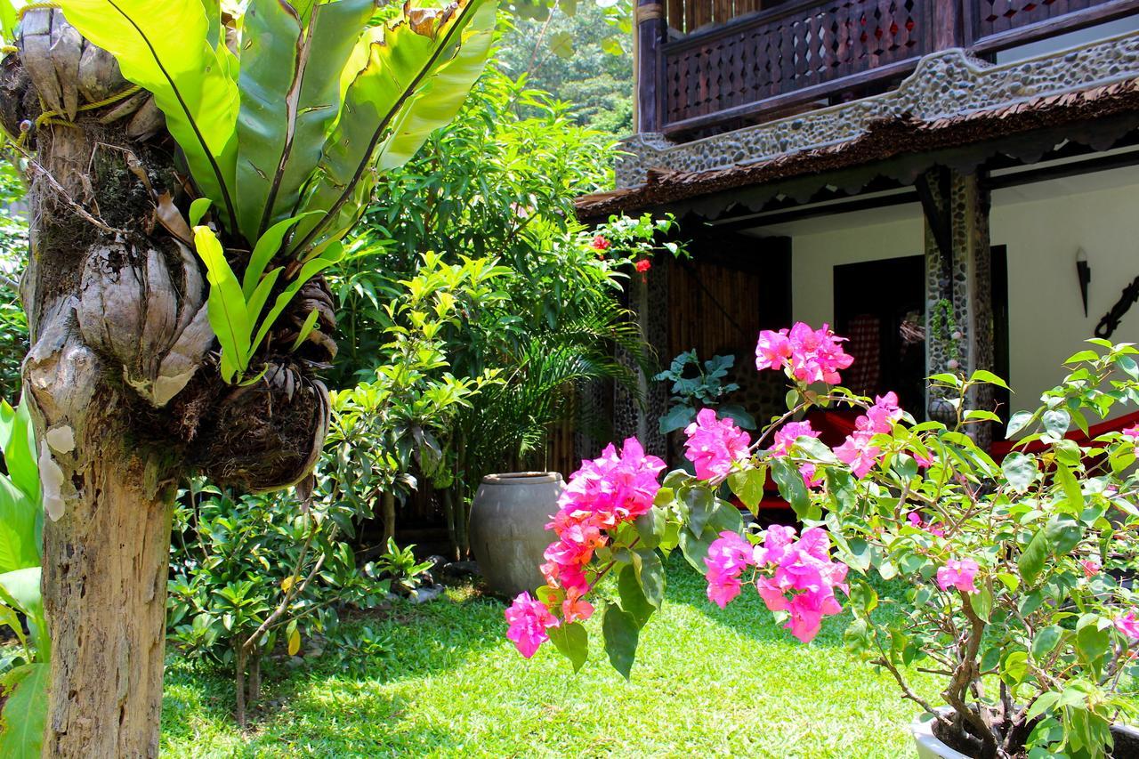 Ecotravel Cottages Bukit Lawang Eksteriør bilde