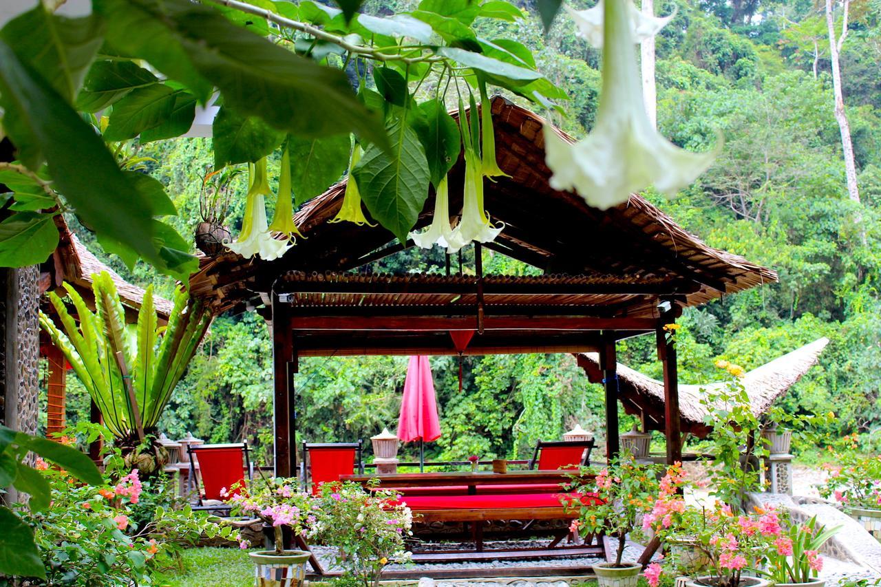 Ecotravel Cottages Bukit Lawang Eksteriør bilde