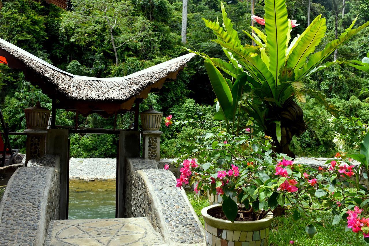 Ecotravel Cottages Bukit Lawang Eksteriør bilde